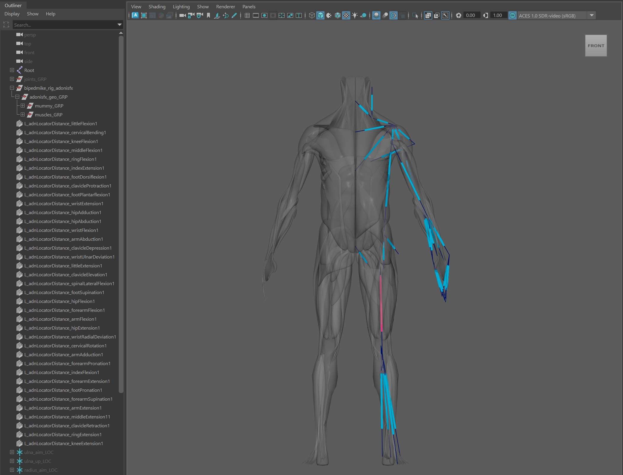 Maya Scene Ready To Execute The Mirroring