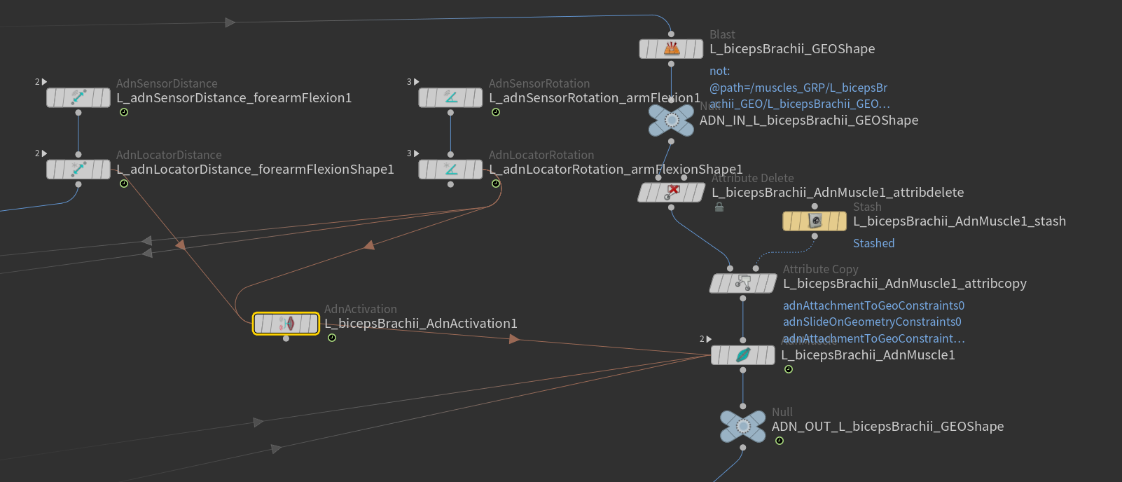 AdnActivation example setup