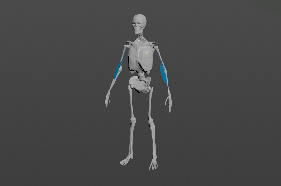 AdnLocatorRotation within a scene