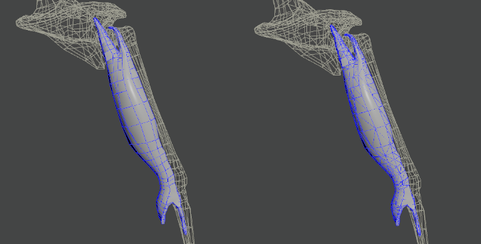 muscle editor fiber constraint debug