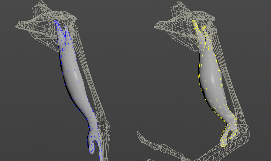 muscle fibers activation debug