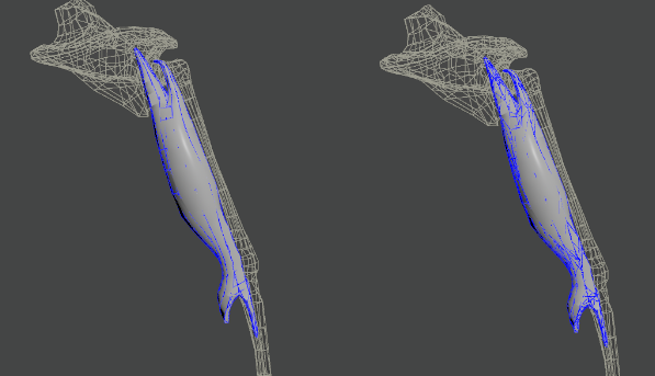 muscle editor shape preservation constraint debug
