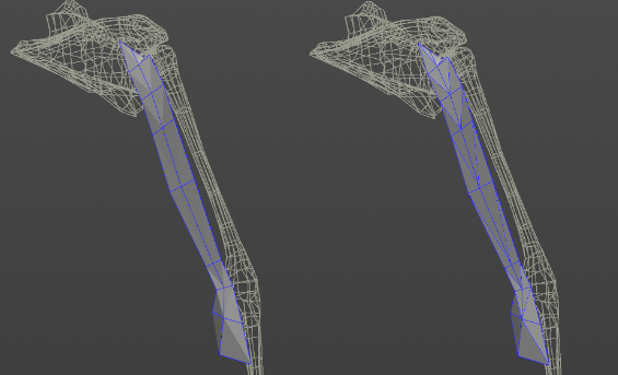 ribbon muscle editor fiber constraint debug