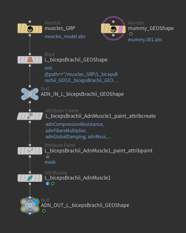 Deformable section muscle