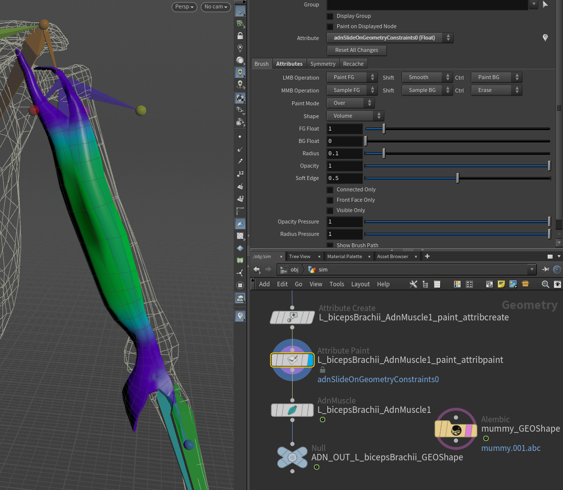 Slide on geometry weights for biceps
