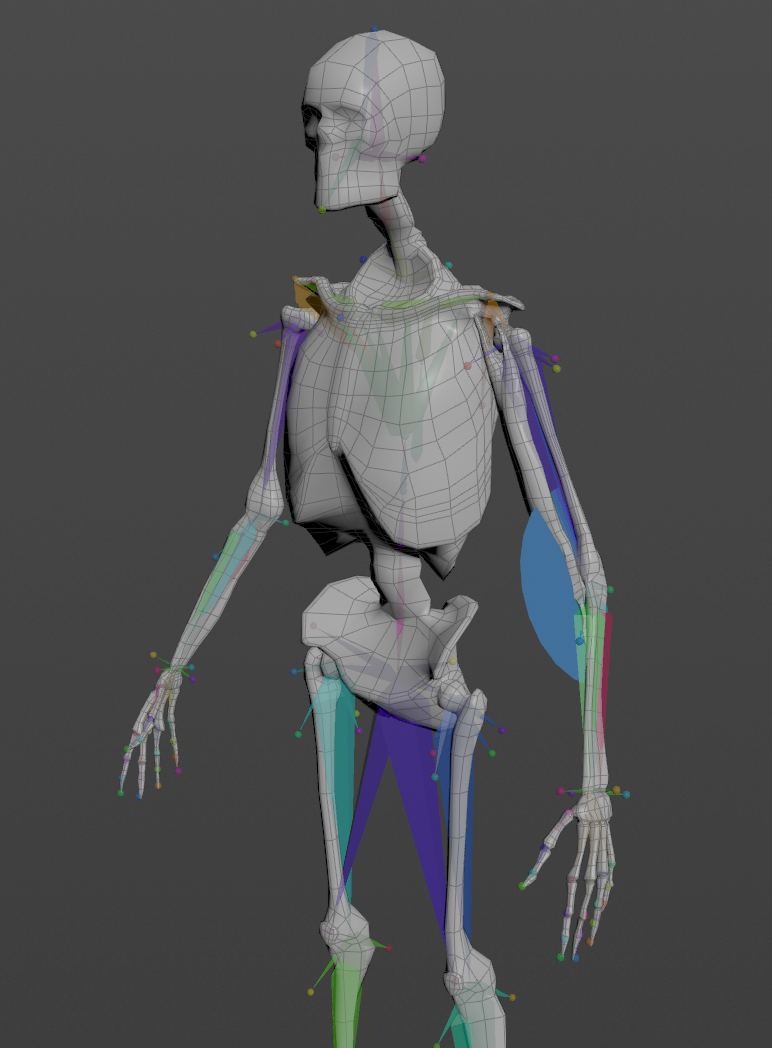 Rotation locator and sensor setup in elbow