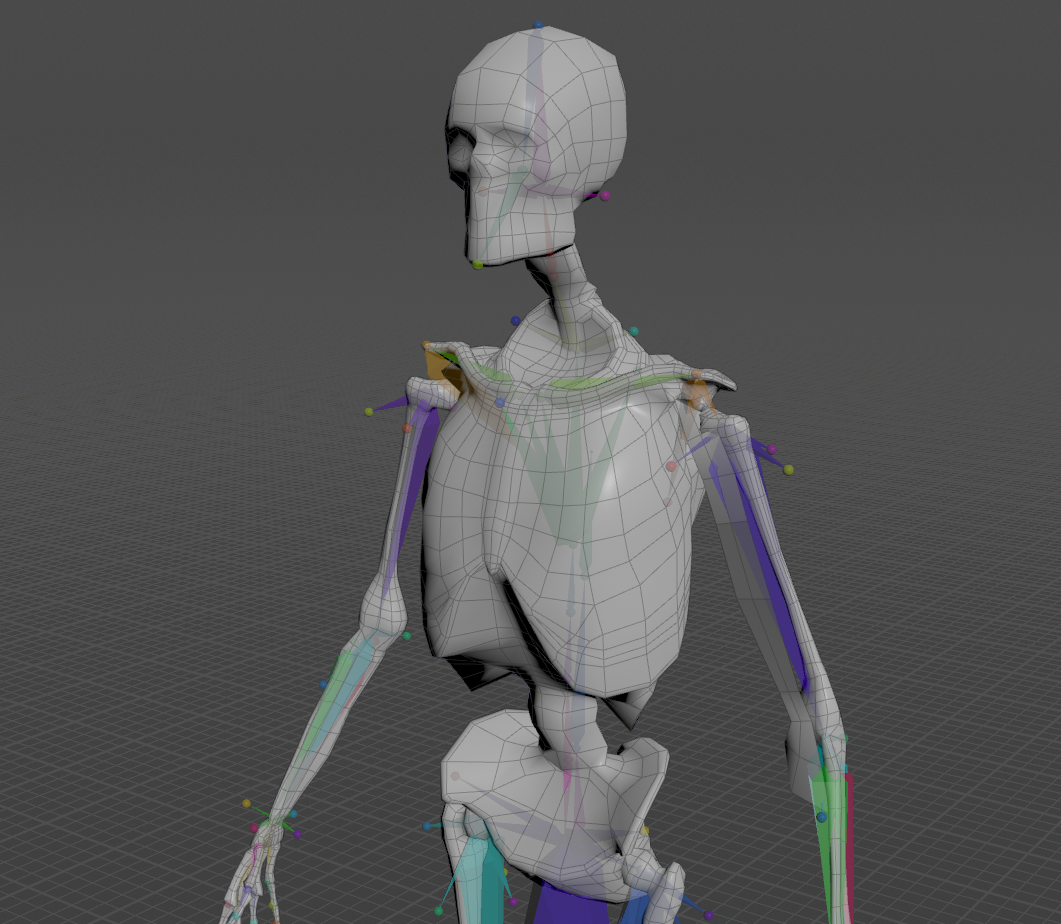 Basic setup for planar biceps sim