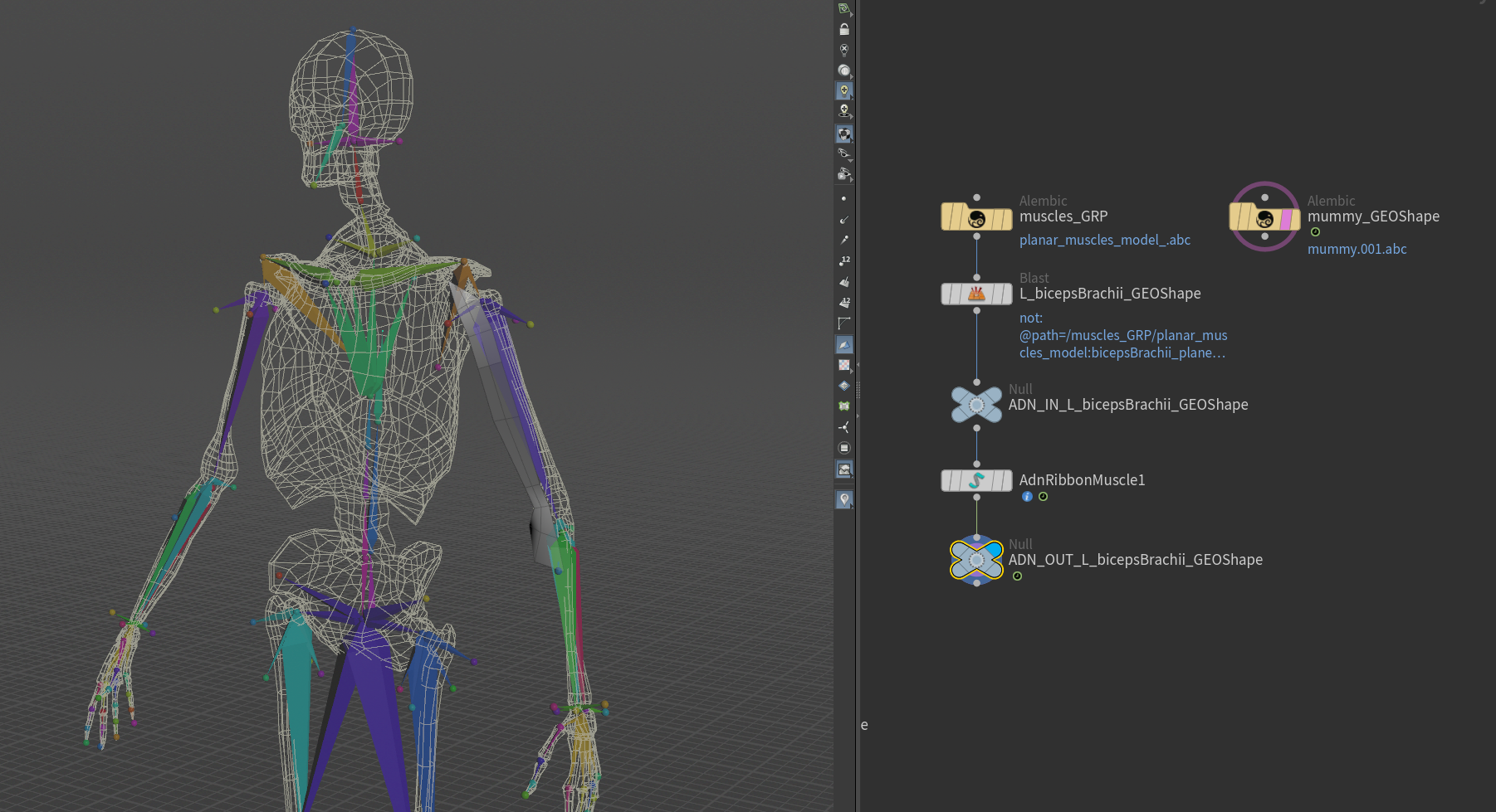AdnRibbonMuscle SOP creation scenario