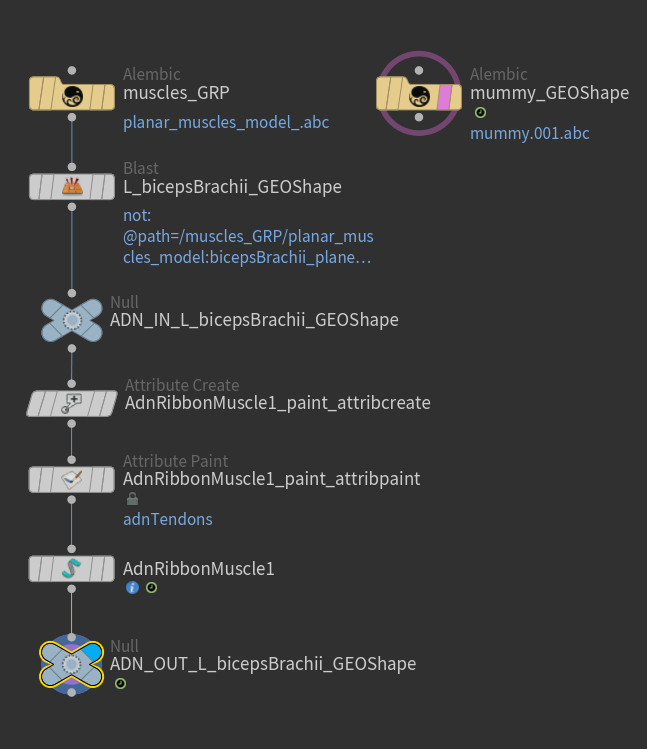 Deformable section ribbon muscle