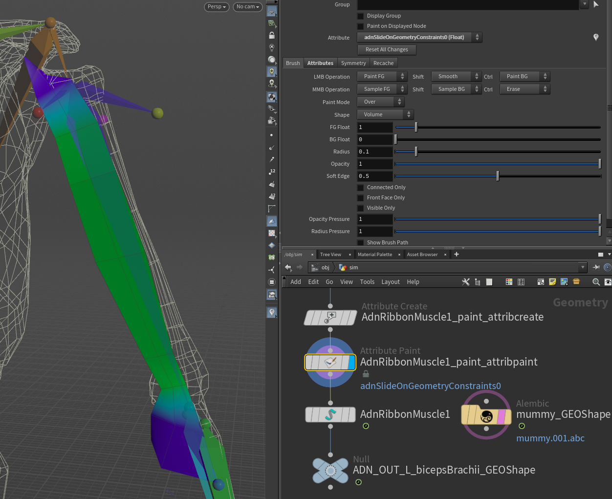 Slide on geometry weights for biceps