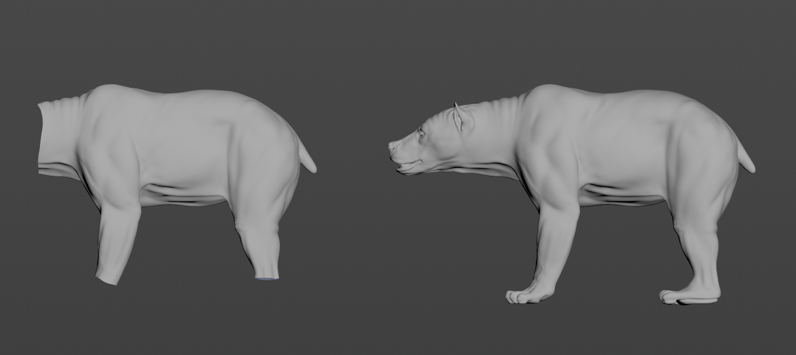 Basic setup for skin simulations