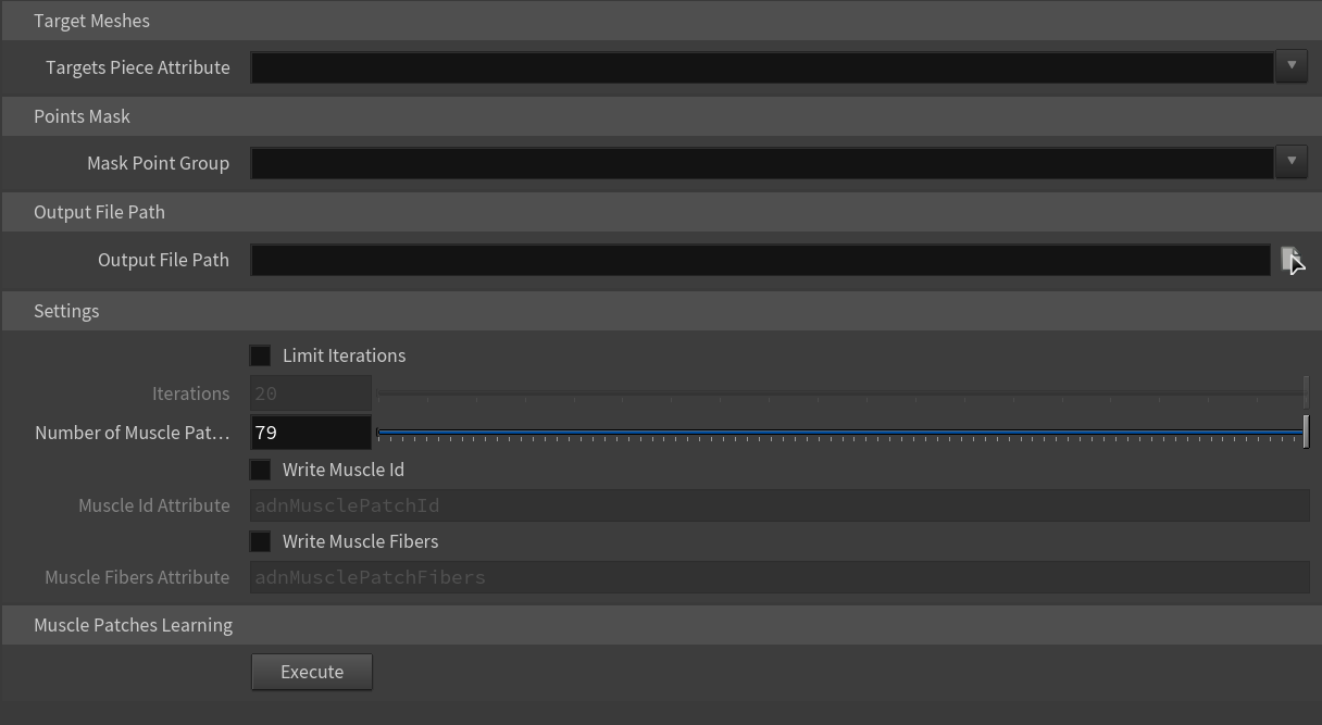 AdnLearnMusclePatches parameter template