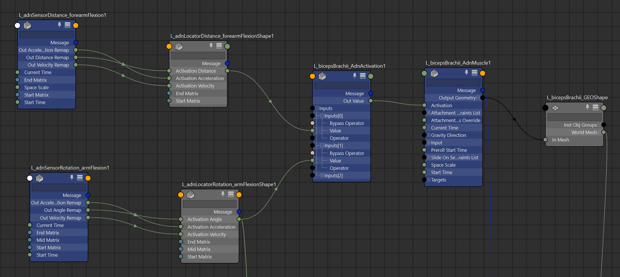 AdnActivation example setup