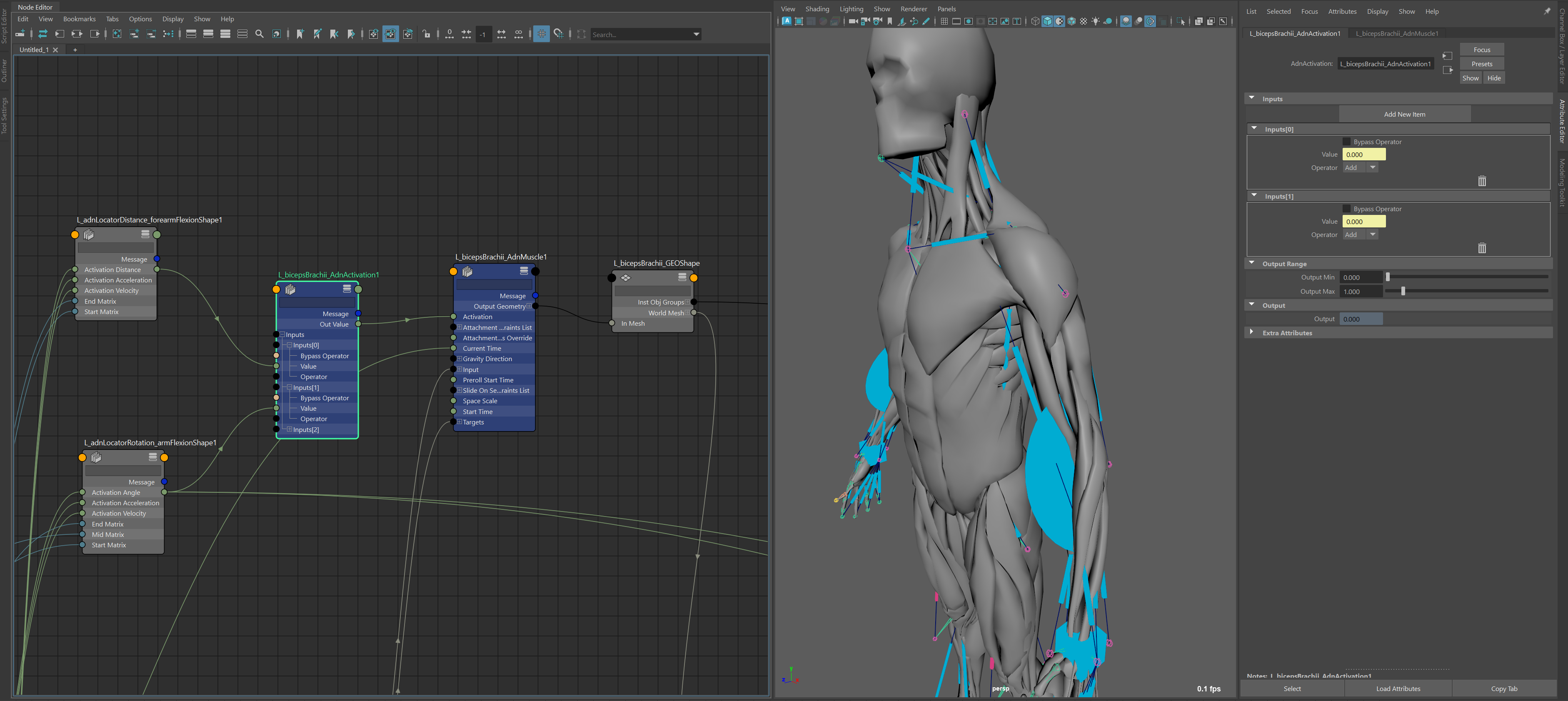 AdnActivation example