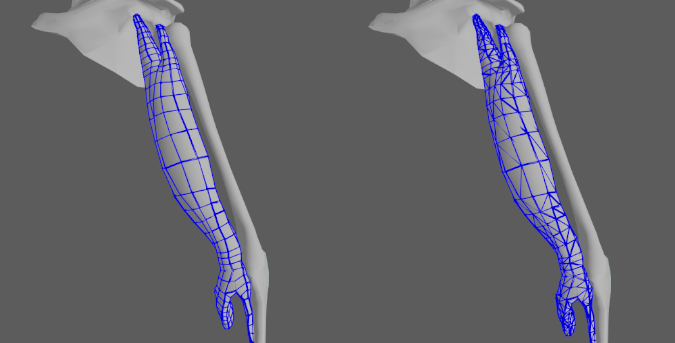 muscle editor fiber constraint debug