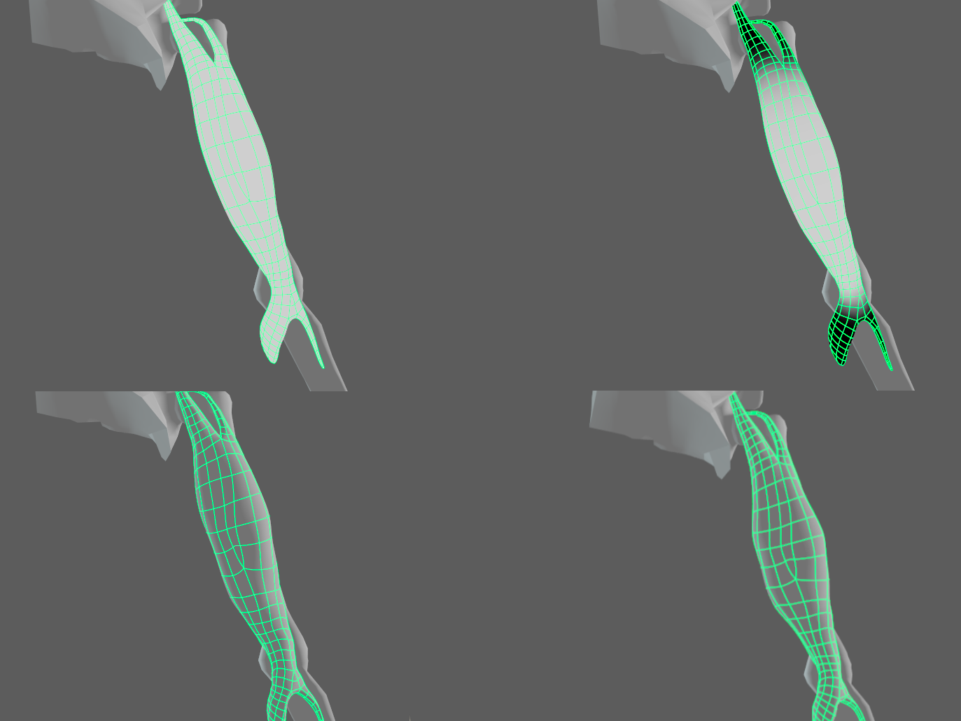 AdnMuscle fibers multiplier map example