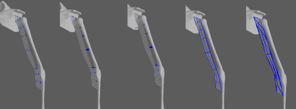 AdnRibbonMuscle debug