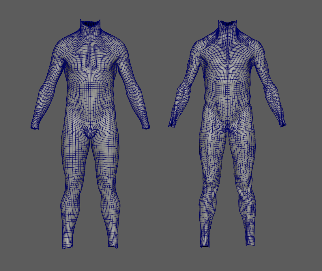Basic setup for fat simulations