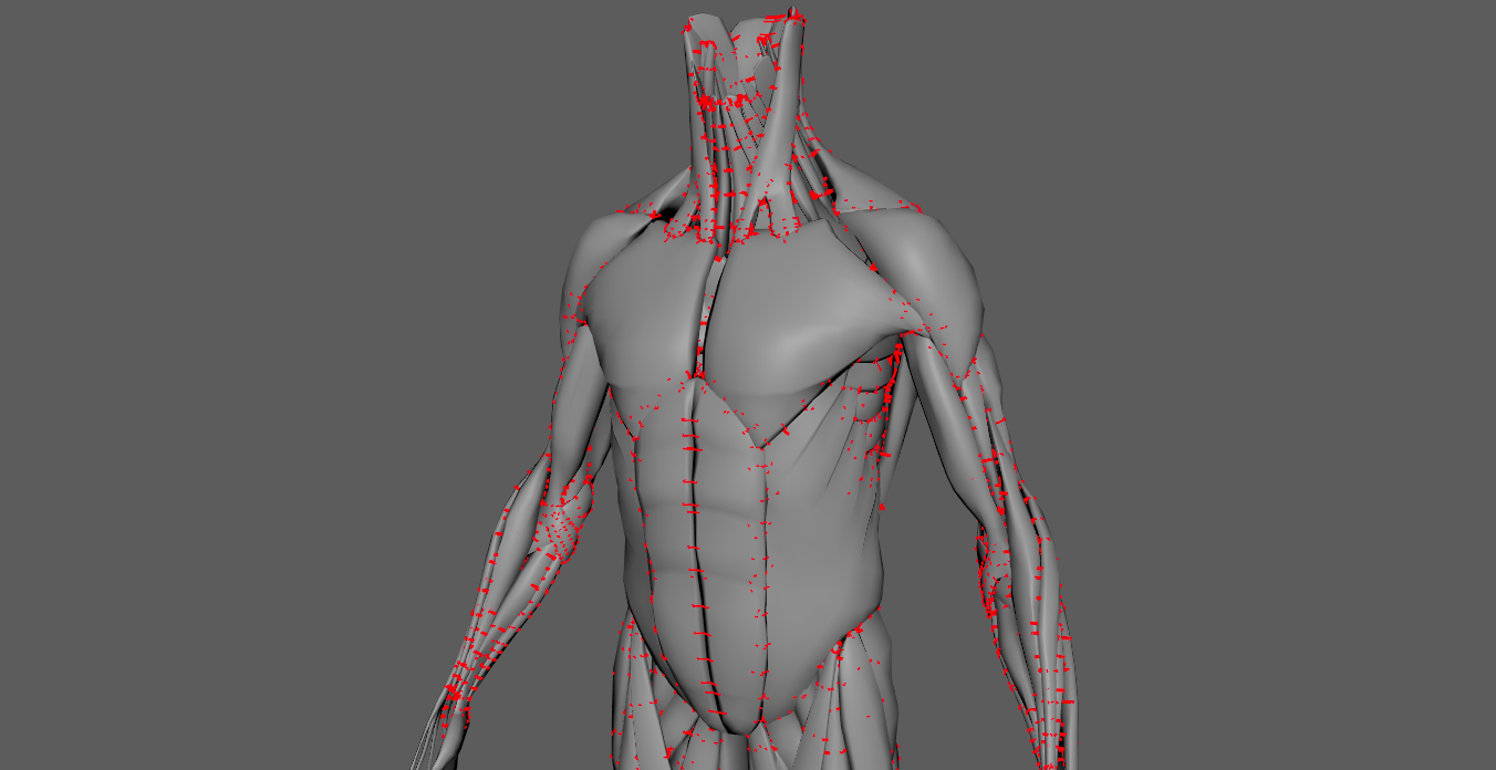 Debugging the Glue Constraints