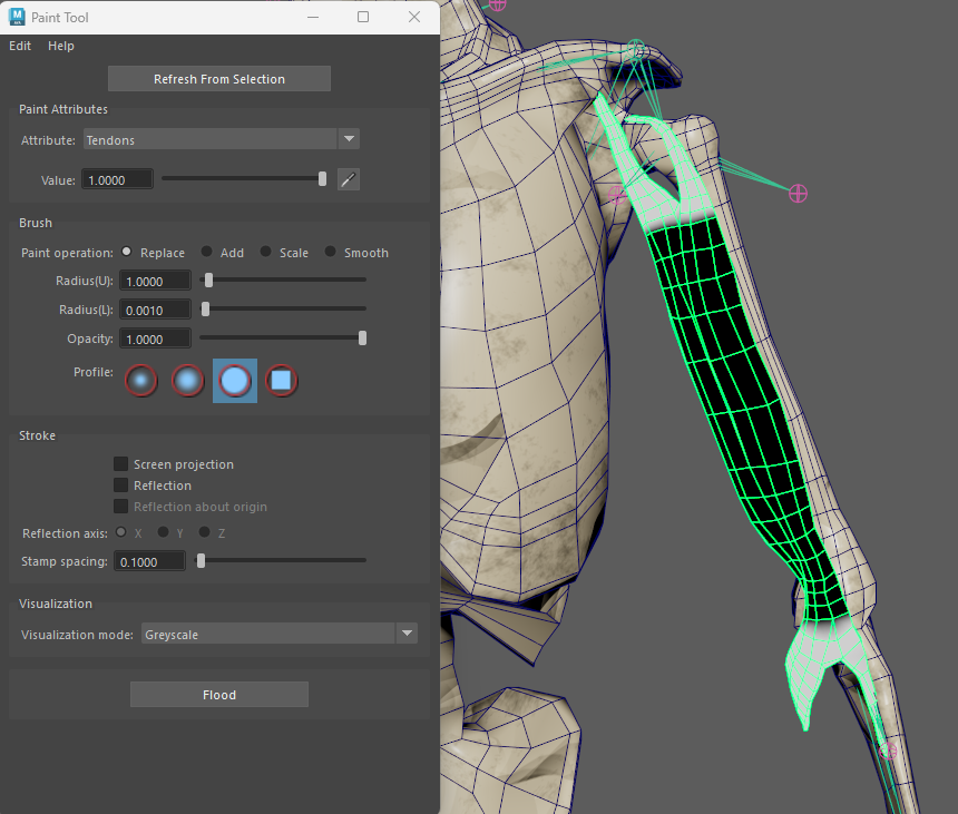 Tendon weights for biceps