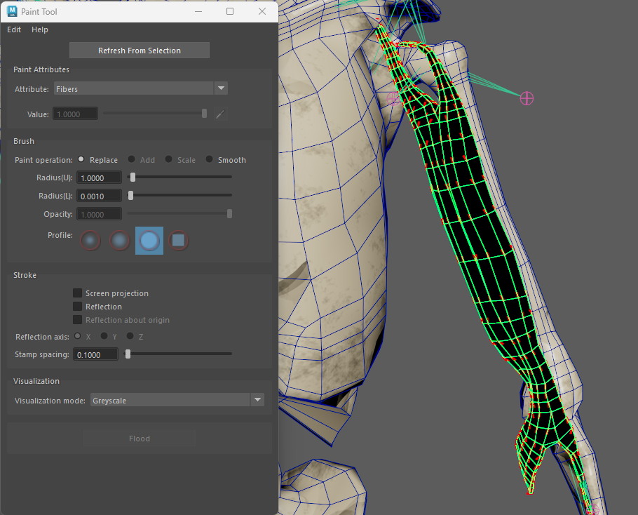 Muscle fibers combing