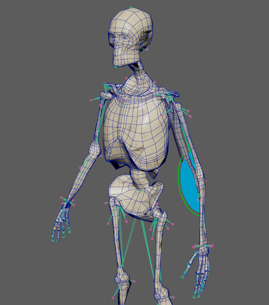 Rotation locator and sensor setup in elbow