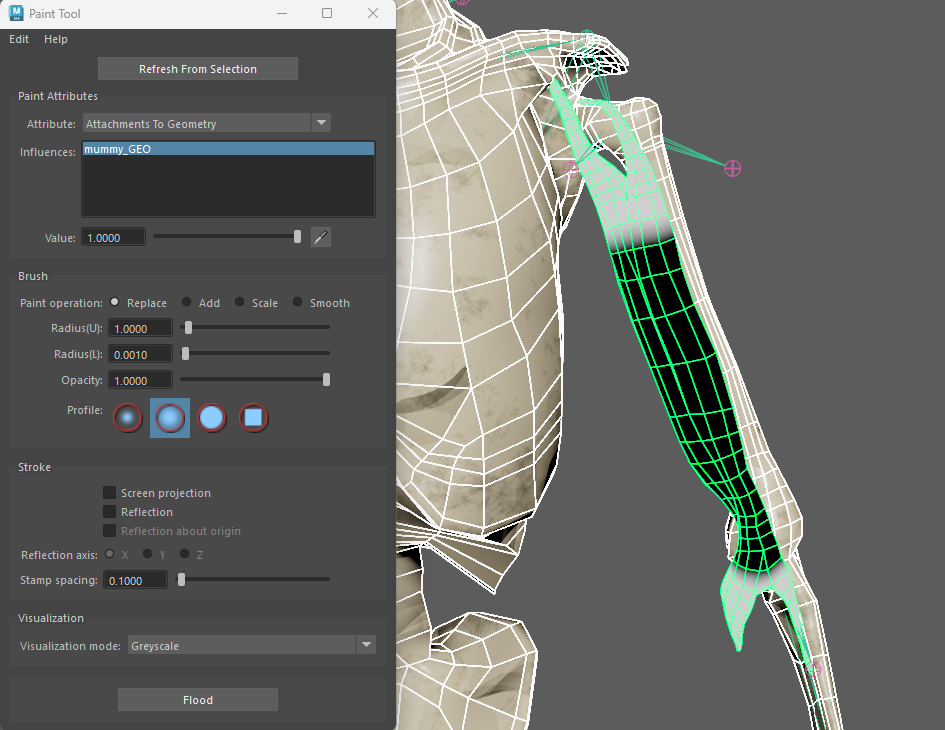 Geometry Attachment influences (meshes)