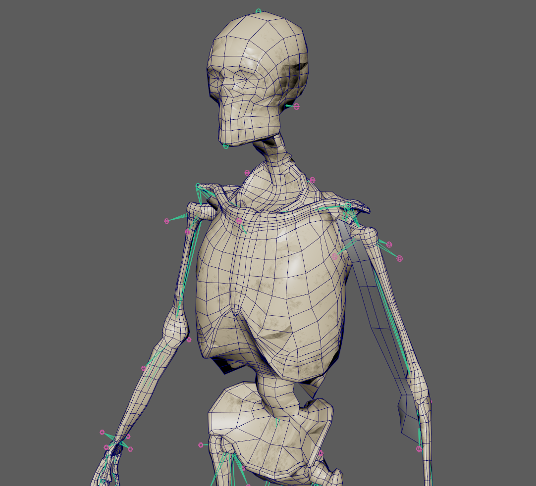 Basic setup for planar biceps simulations