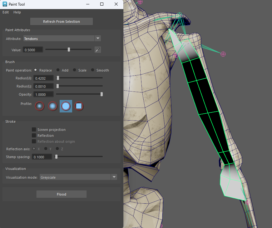 Tendon weights for planar biceps