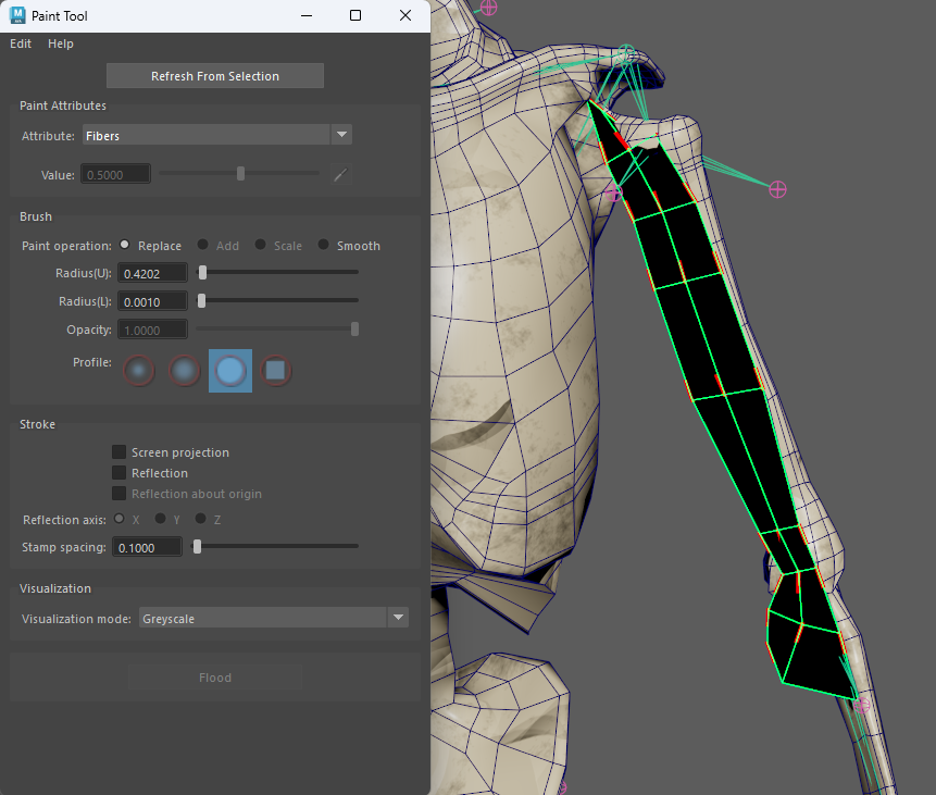 Muscle fibers combing