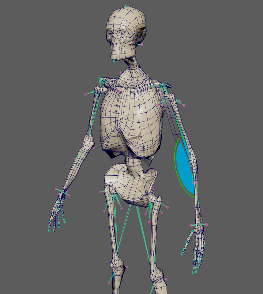 Connection Editor tool with AdnRotation and AdnRibbonMuscle