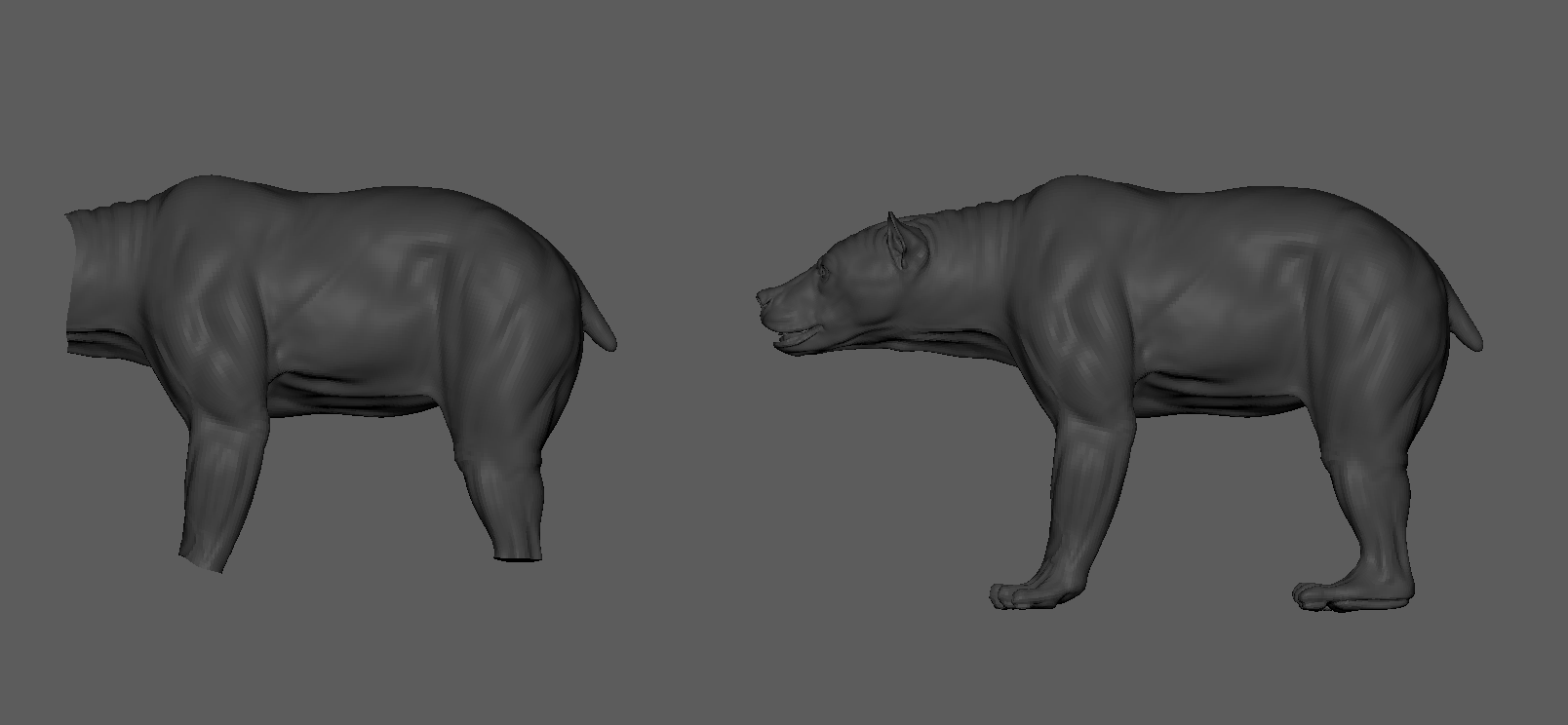 Basic setup for skin simulations