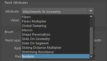 Paint Tool Muscle Attributes example (Part 2)