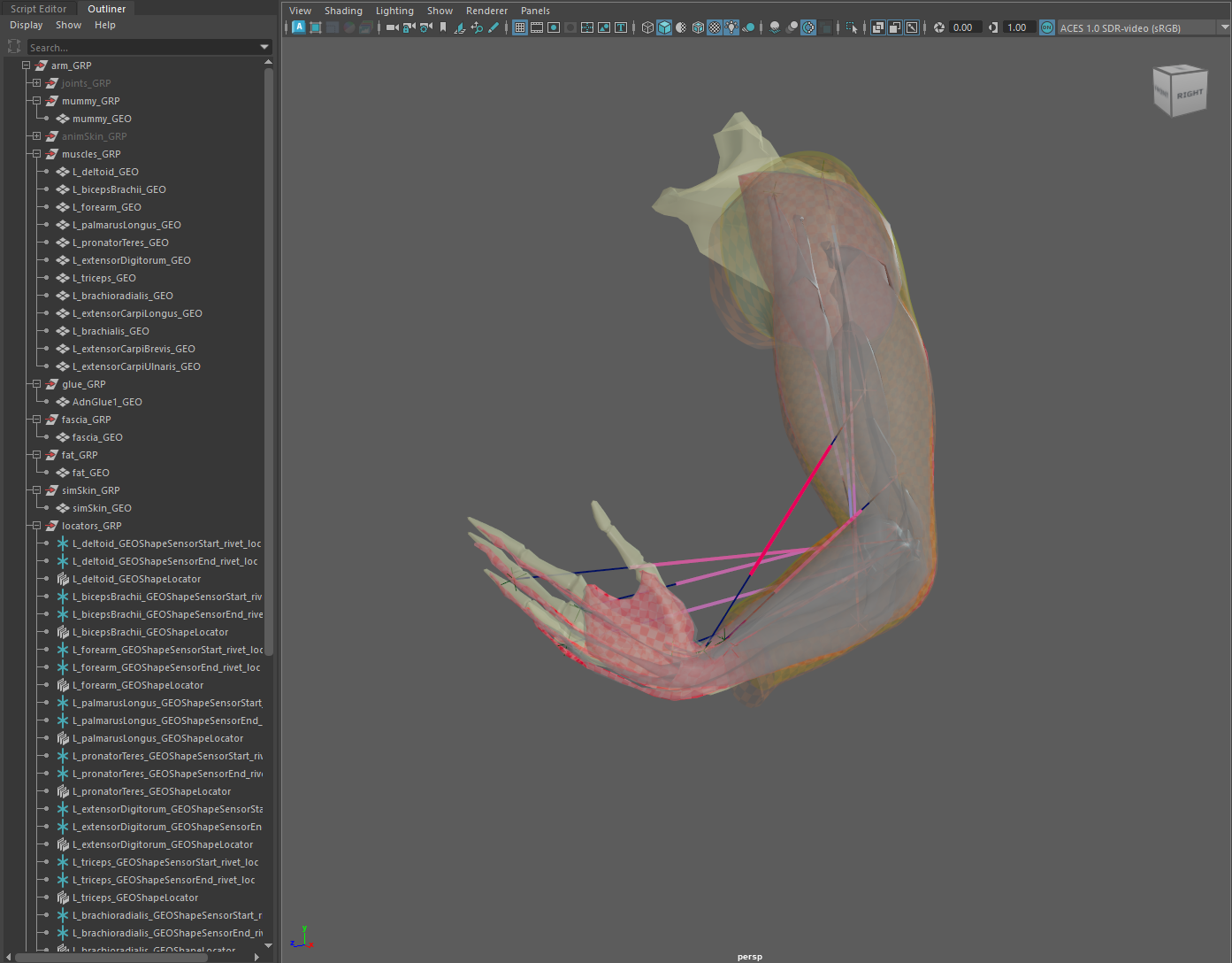 AdnTurbo Execution Completed