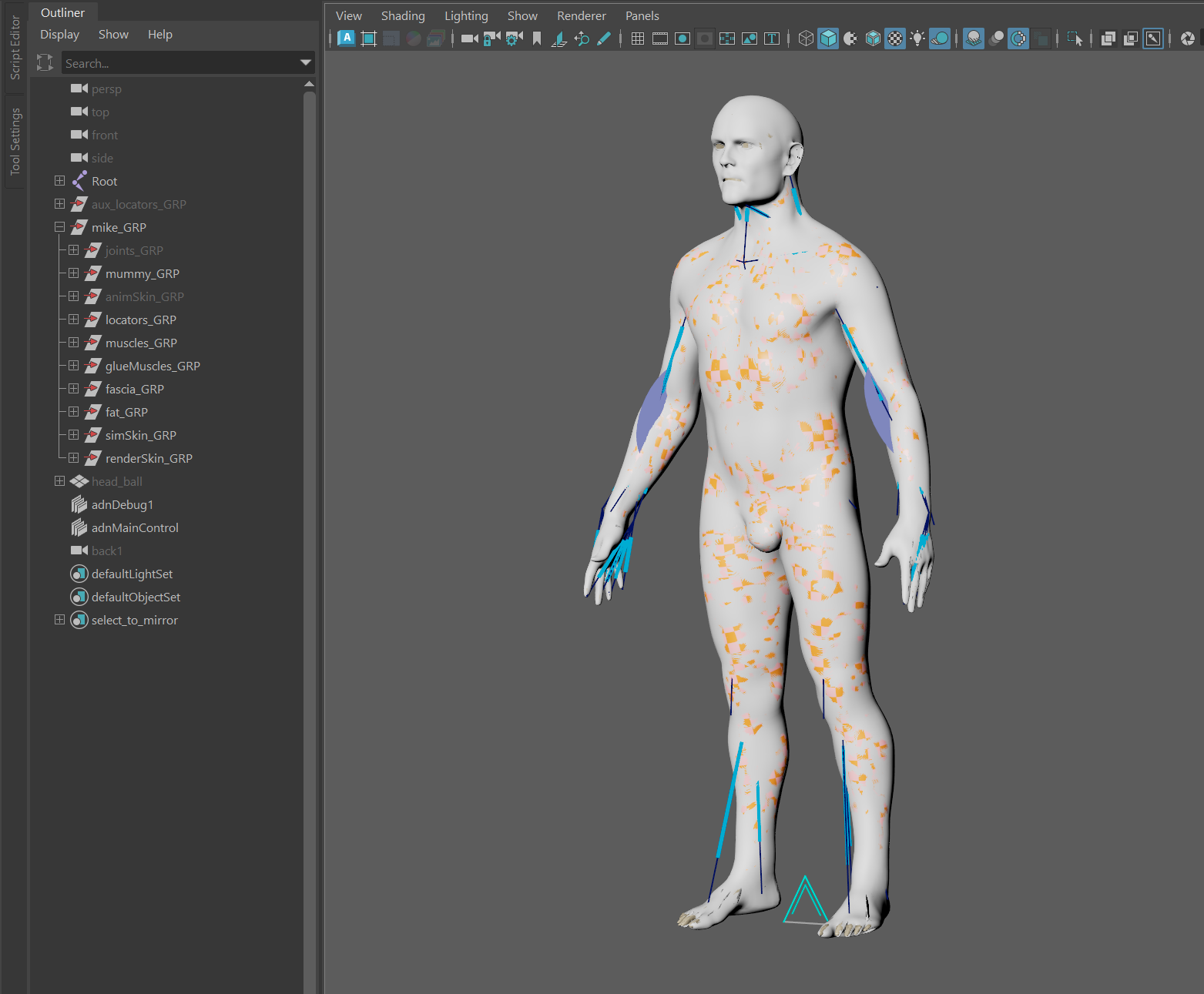 Adonis Export Tool