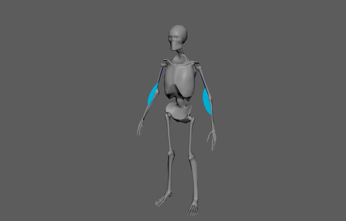 AdnLocatorRotation within a scene
