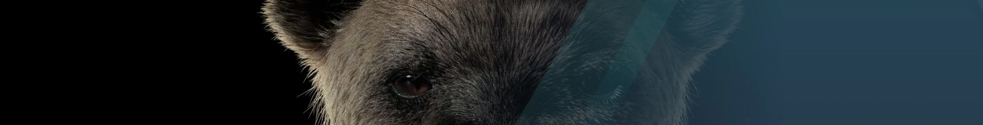 hyenaAsset_blog_hero_02