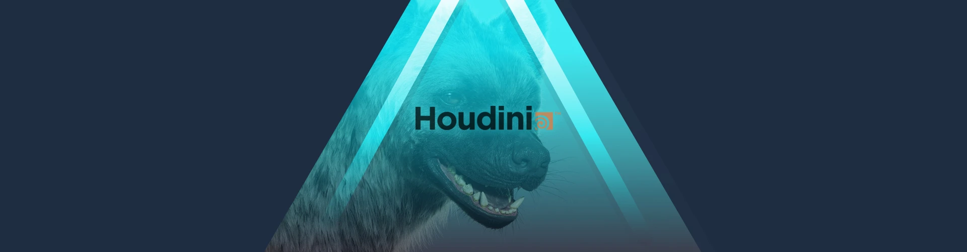 adnFX20_header_01